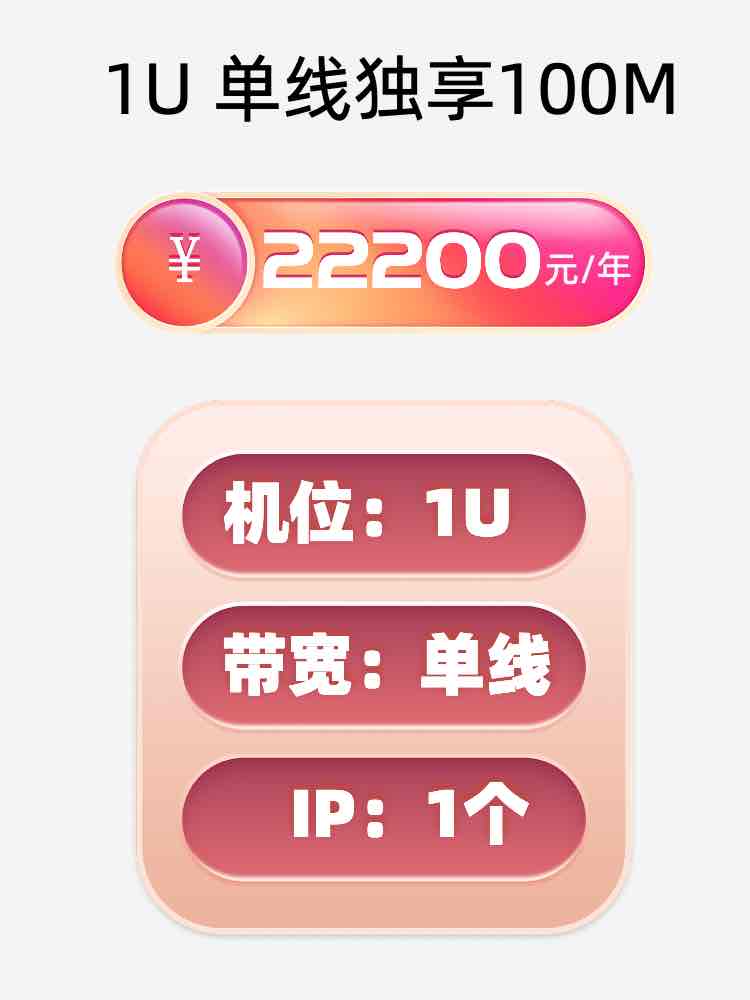 烟台单线100M服务器托管价格